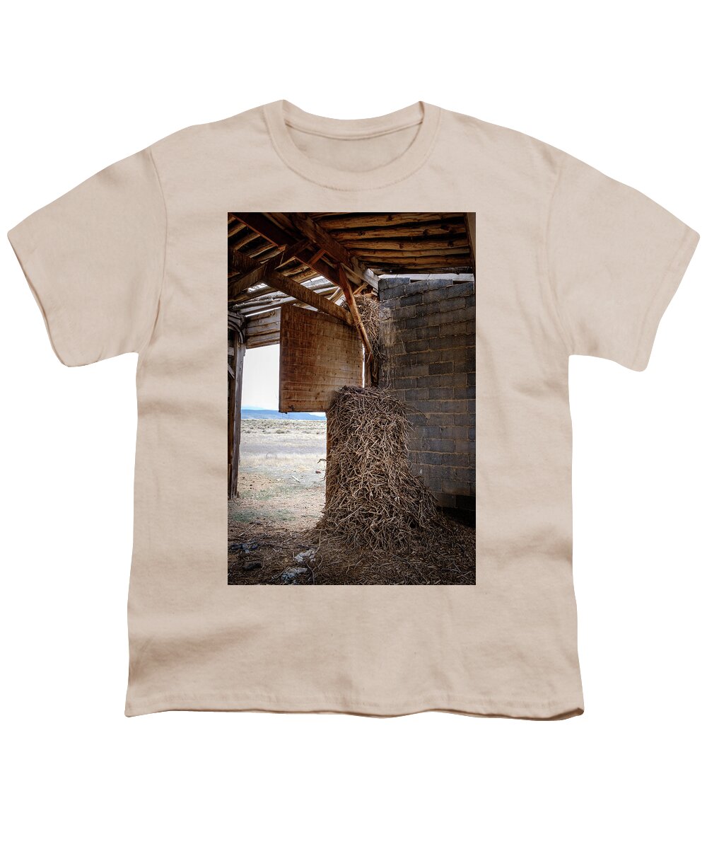 Colorado Youth T-Shirt featuring the photograph Nest of the Ancient Raven by Mary Lee Dereske