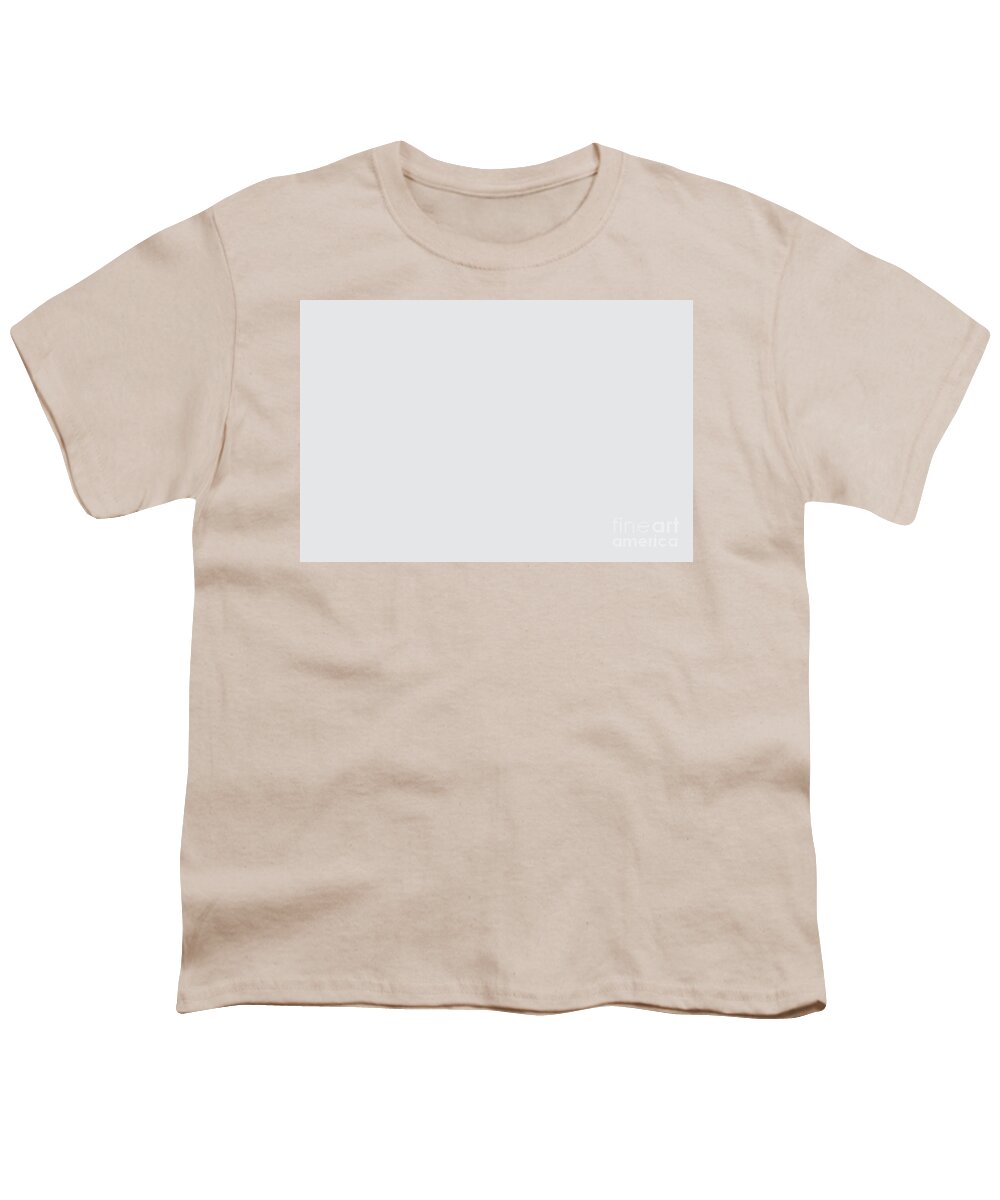 Neutral Youth T-Shirt featuring the digital art Pale Gray Solid Color Behr 2021 Color of the Year Accent Shade Dutch White MQ3-31 by PIPA Fine Art - Simply Solid