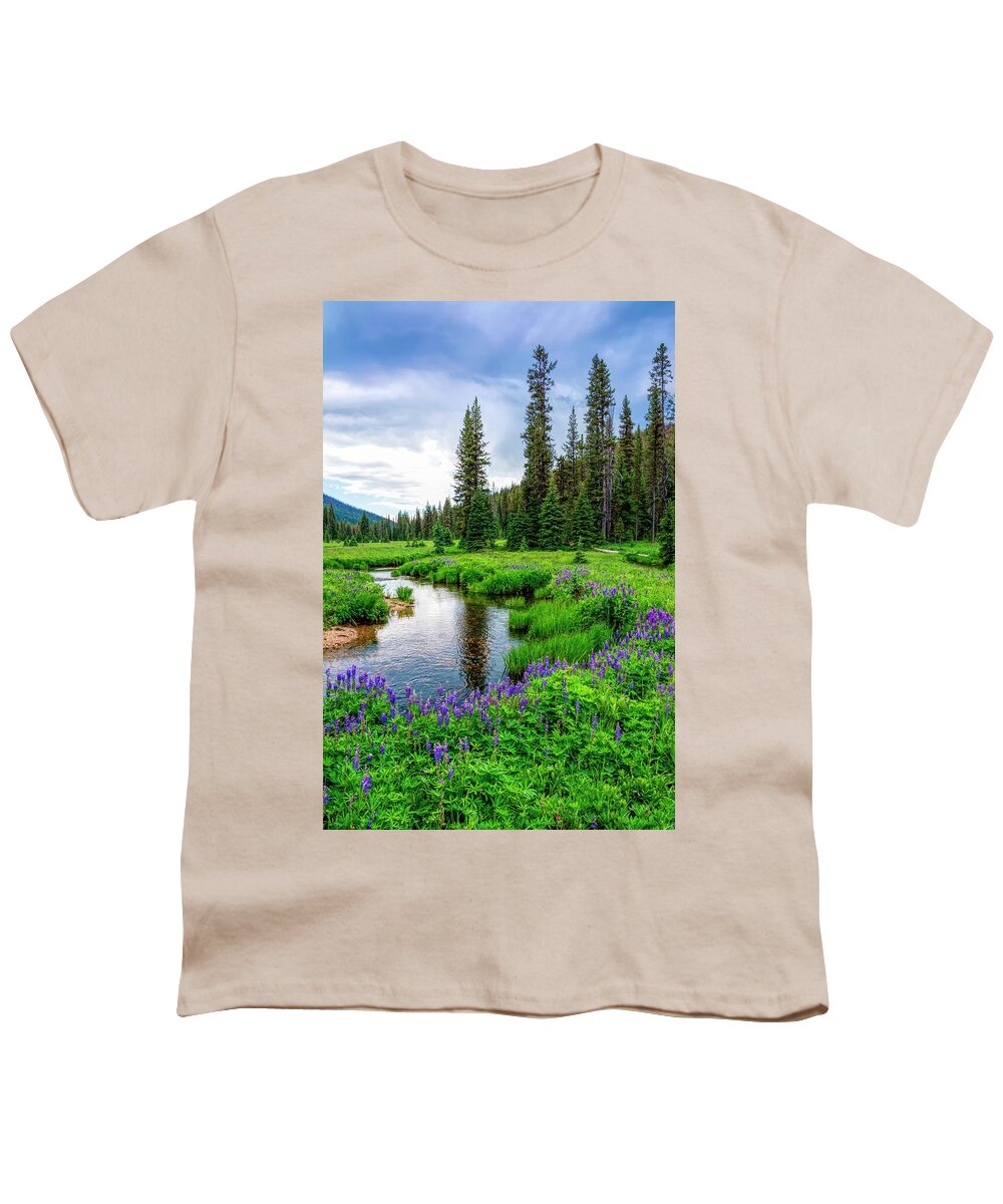 Stream Youth T-Shirt featuring the photograph Purple Stream Line by Pamela Dunn-Parrish