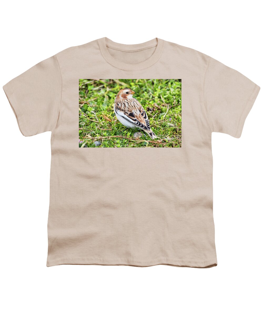 Snow Bunting Youth T-Shirt featuring the photograph Snow Bunting by Peggy Collins