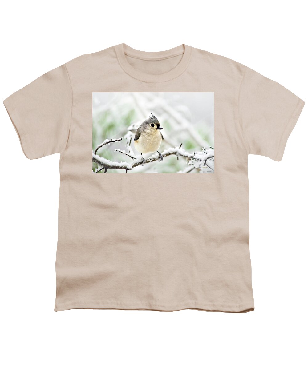 Bird Youth T-Shirt featuring the mixed media Snowy Tufted Titmouse by Christina Rollo