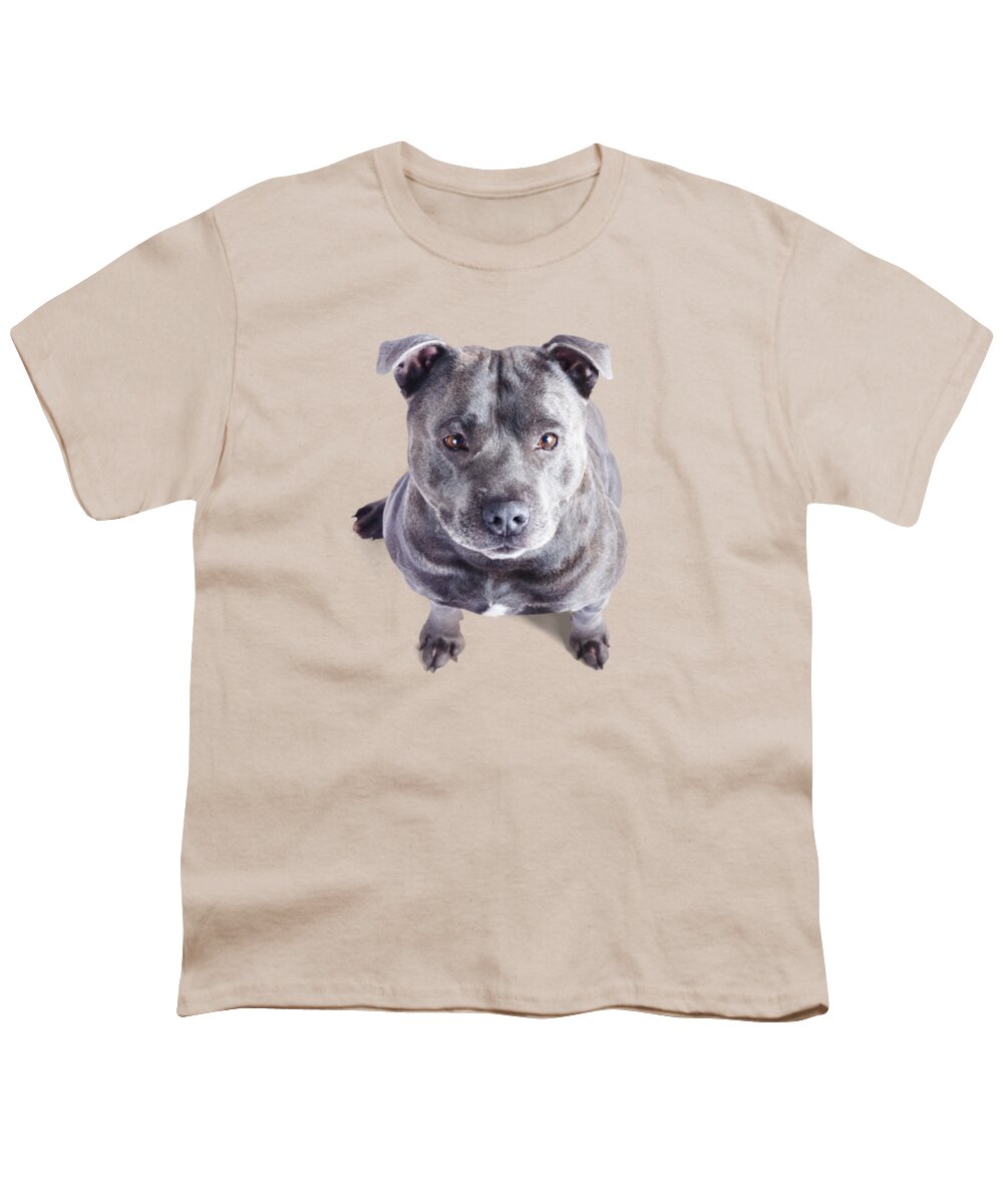 Dog Youth T-Shirt featuring the photograph Staffordshire Bull Terrier by Jorgo Photography