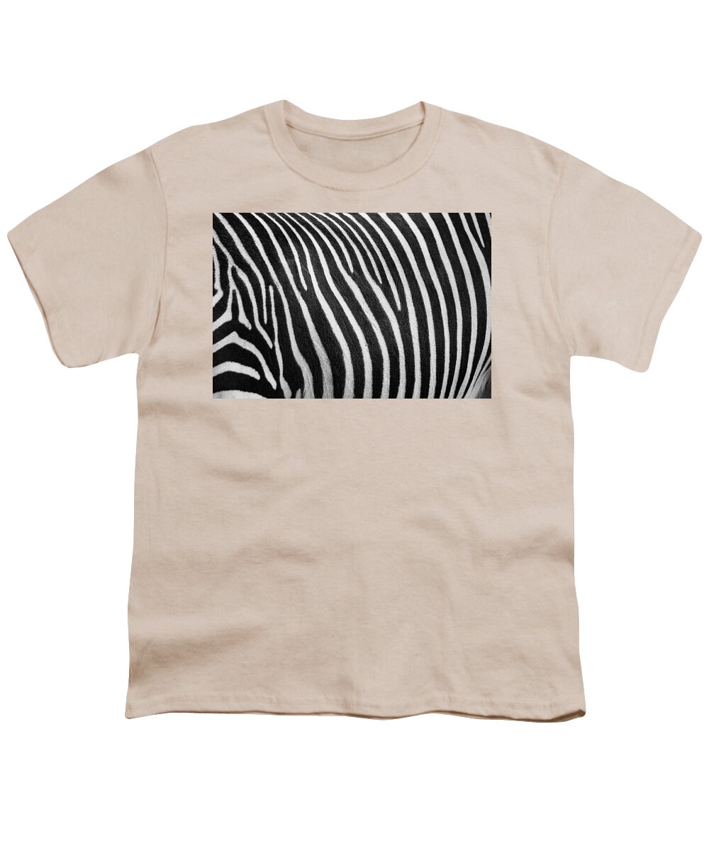 Zoo Boise Youth T-Shirt featuring the photograph Stripes by Melissa Southern