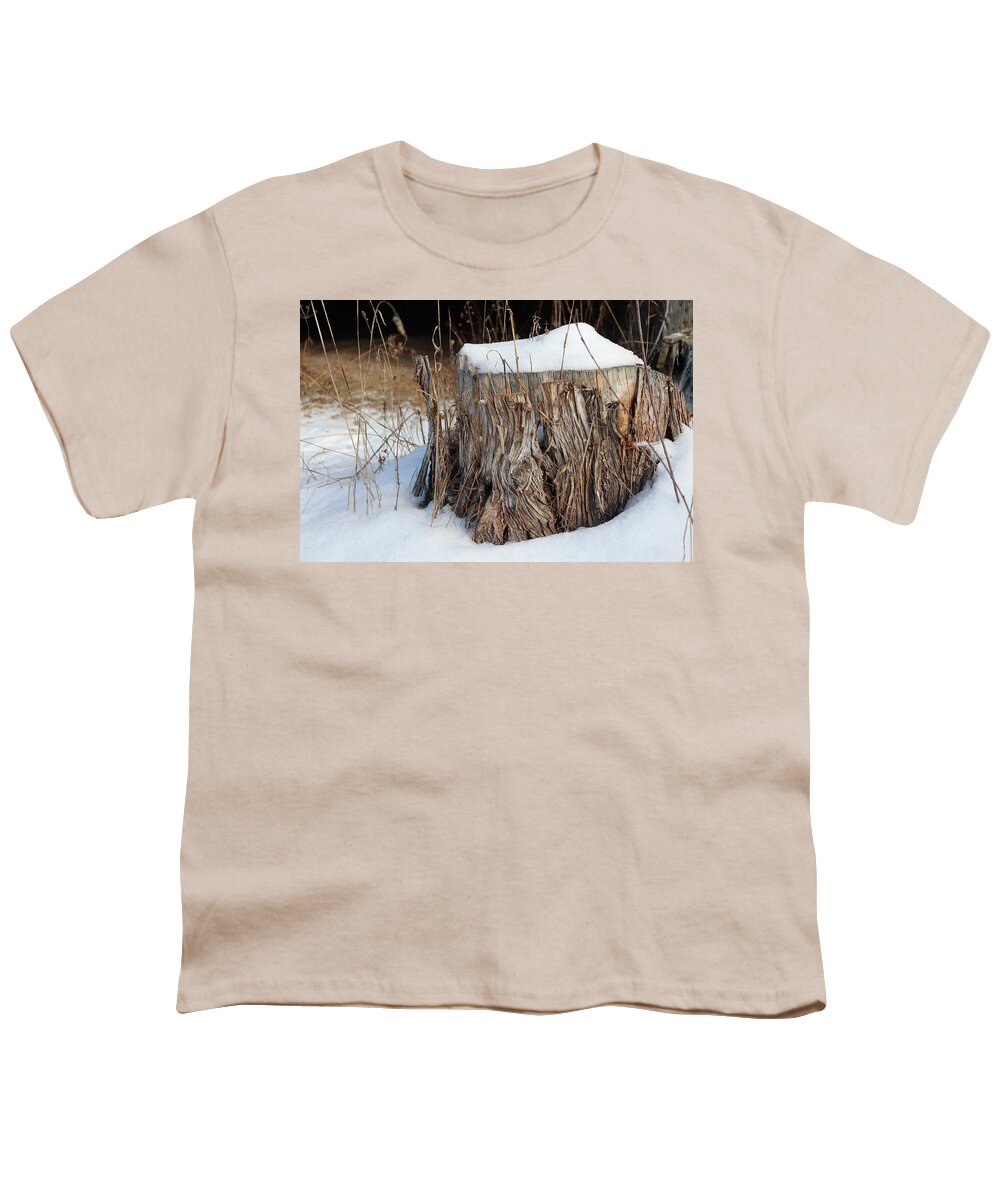 Tree Stump Youth T-Shirt featuring the photograph Winter Stump by David T Wilkinson