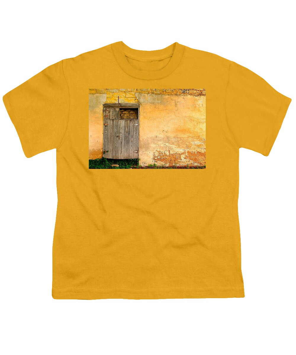 Door Youth T-Shirt featuring the photograph The Back Door by David and Carol Kelly