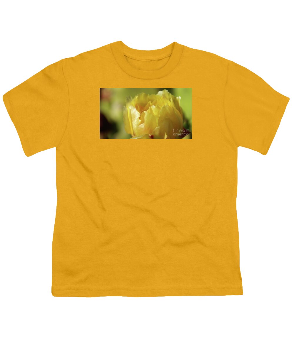 Cacti Youth T-Shirt featuring the photograph Feathered In Yellow by Linda Shafer