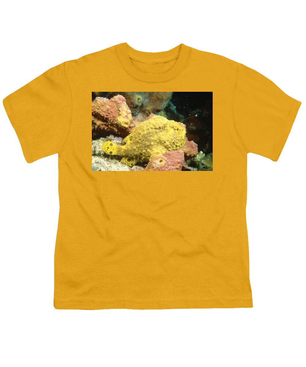 Animal Youth T-Shirt featuring the photograph Longlure Frogfish With Extended Lure by Andrew J. Martinez