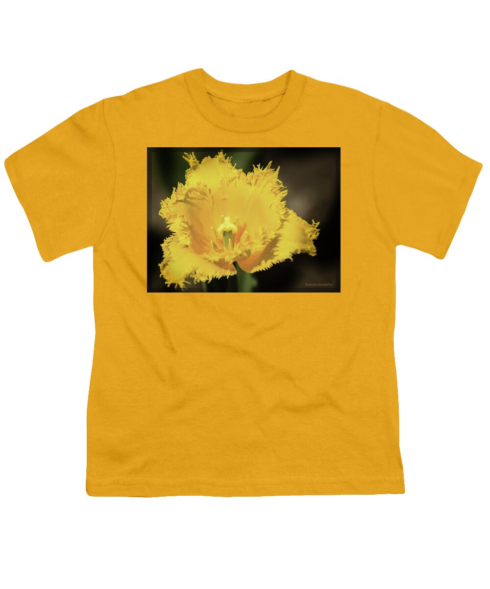 Usa Youth T-Shirt featuring the photograph Tulip Time with the fringe by LeeAnn McLaneGoetz McLaneGoetzStudioLLCcom