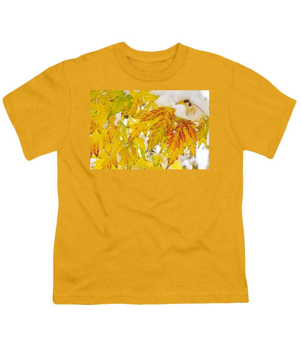 Snow Youth T-Shirt featuring the photograph Autumn Snow #1 by James BO Insogna