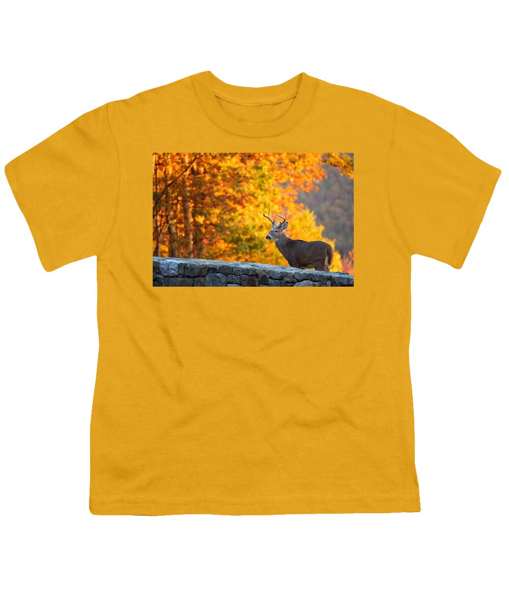 Metro Youth T-Shirt featuring the photograph Buck in the Fall 06 by Metro DC Photography
