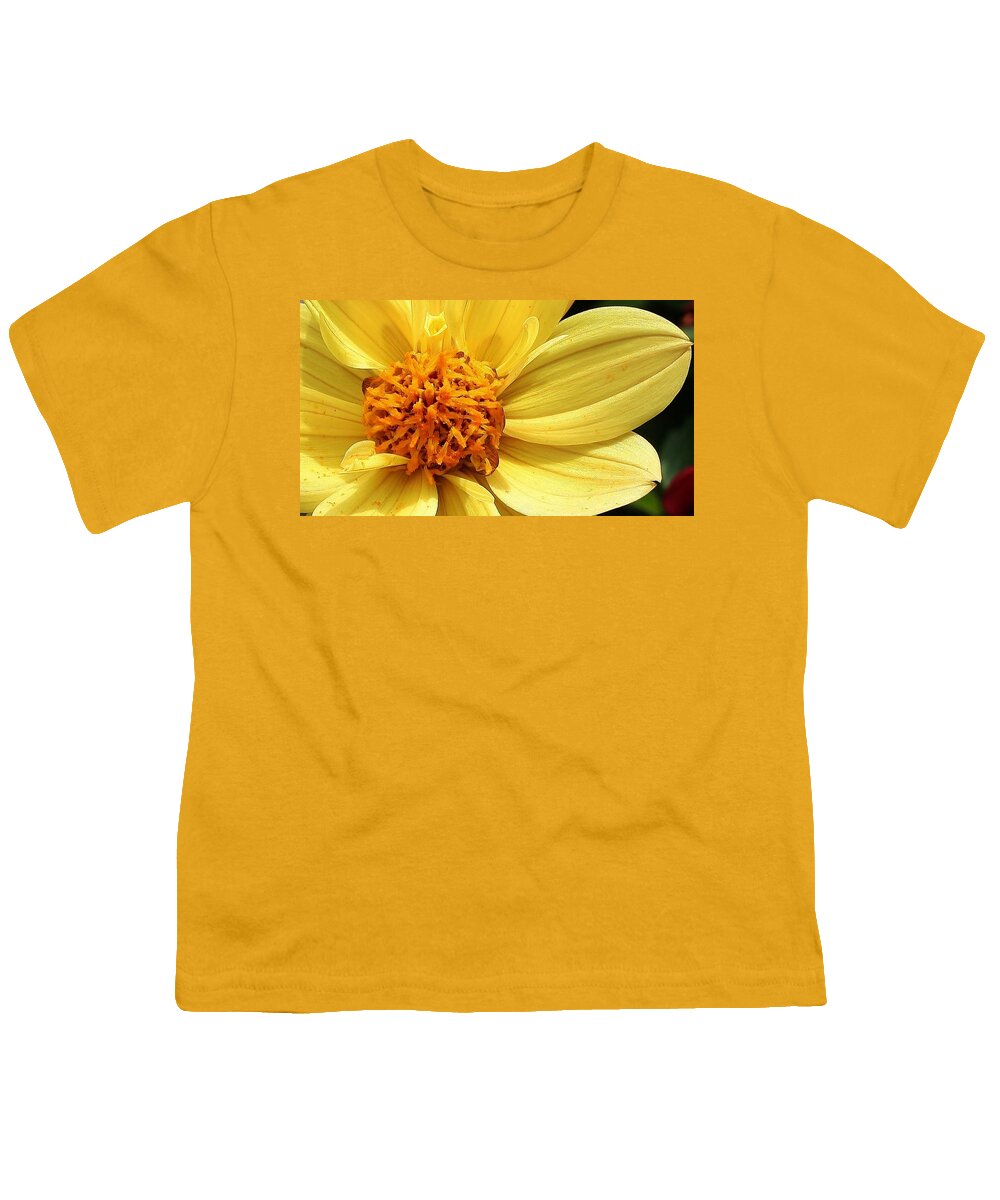 Nature Youth T-Shirt featuring the photograph Yellow Dahlia #1 by Bruce Bley