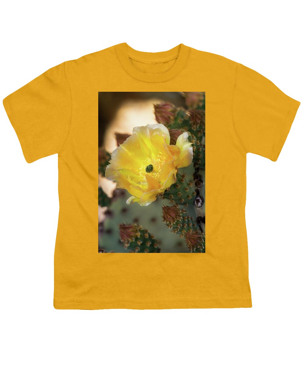 Golden Prickly Pear Cactus Youth T-Shirt featuring the photograph A Golden Beauty #2 by Saija Lehtonen