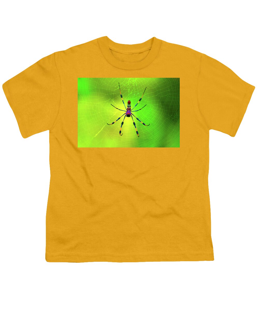Banana Spider Youth T-Shirt featuring the digital art 42- Come Closer by Joseph Keane