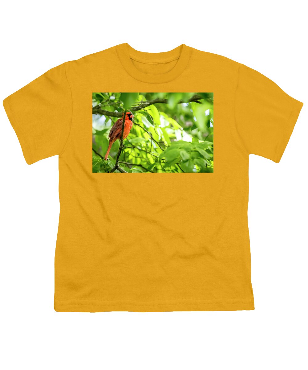 Bird Youth T-Shirt featuring the digital art A Northern Cardinal enjoying the Springtime by Ed Stines
