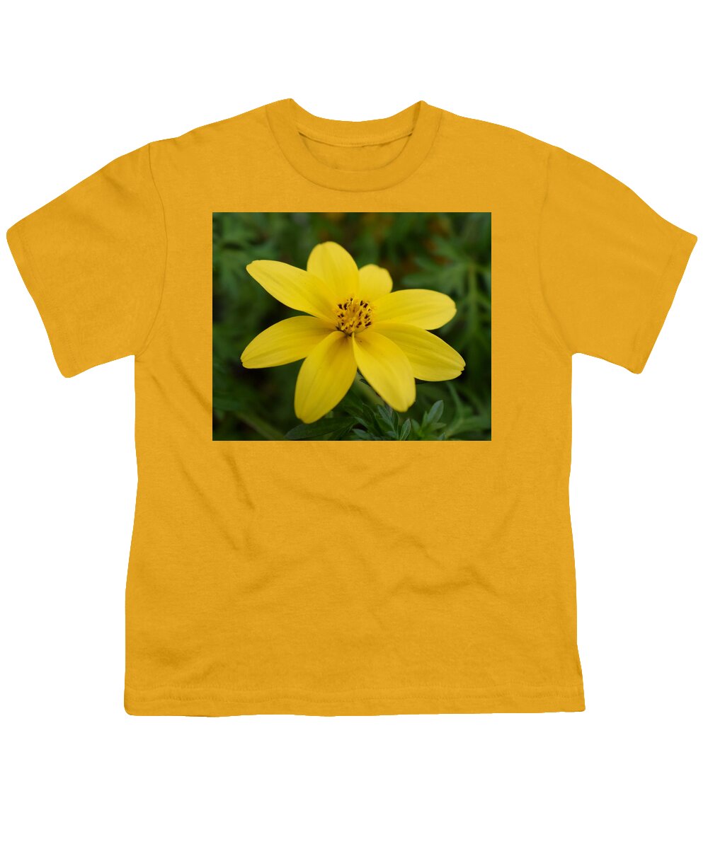 Yellow Youth T-Shirt featuring the photograph Bidens 'Yellow Charm' by Jimmy Chuck Smith