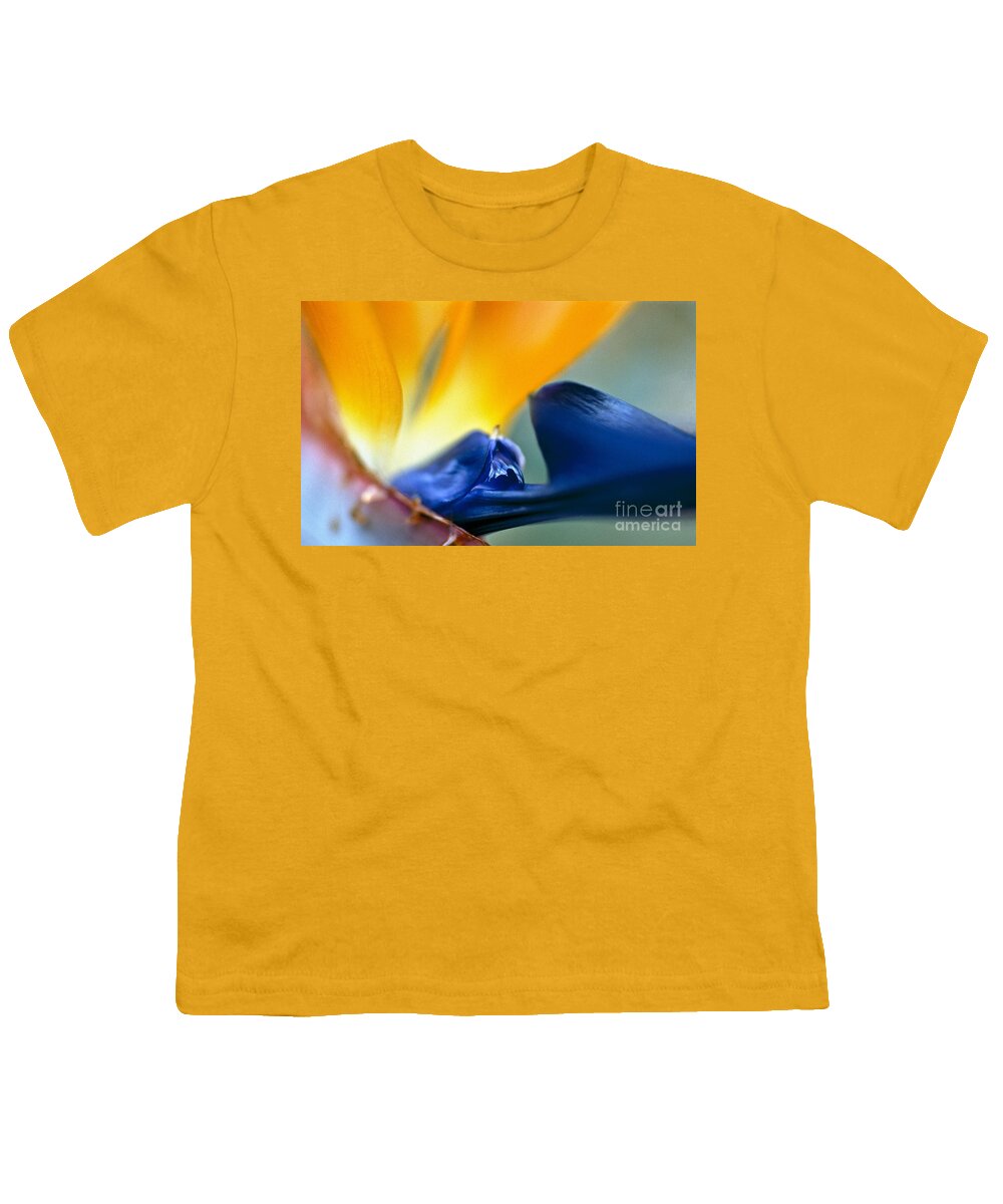 Strelitzia Youth T-Shirt featuring the photograph Bird-of-Paradise by Heiko Koehrer-Wagner