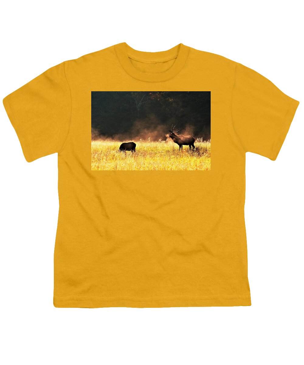 Elk Youth T-Shirt featuring the photograph Bull with his girl by Chuck Brown
