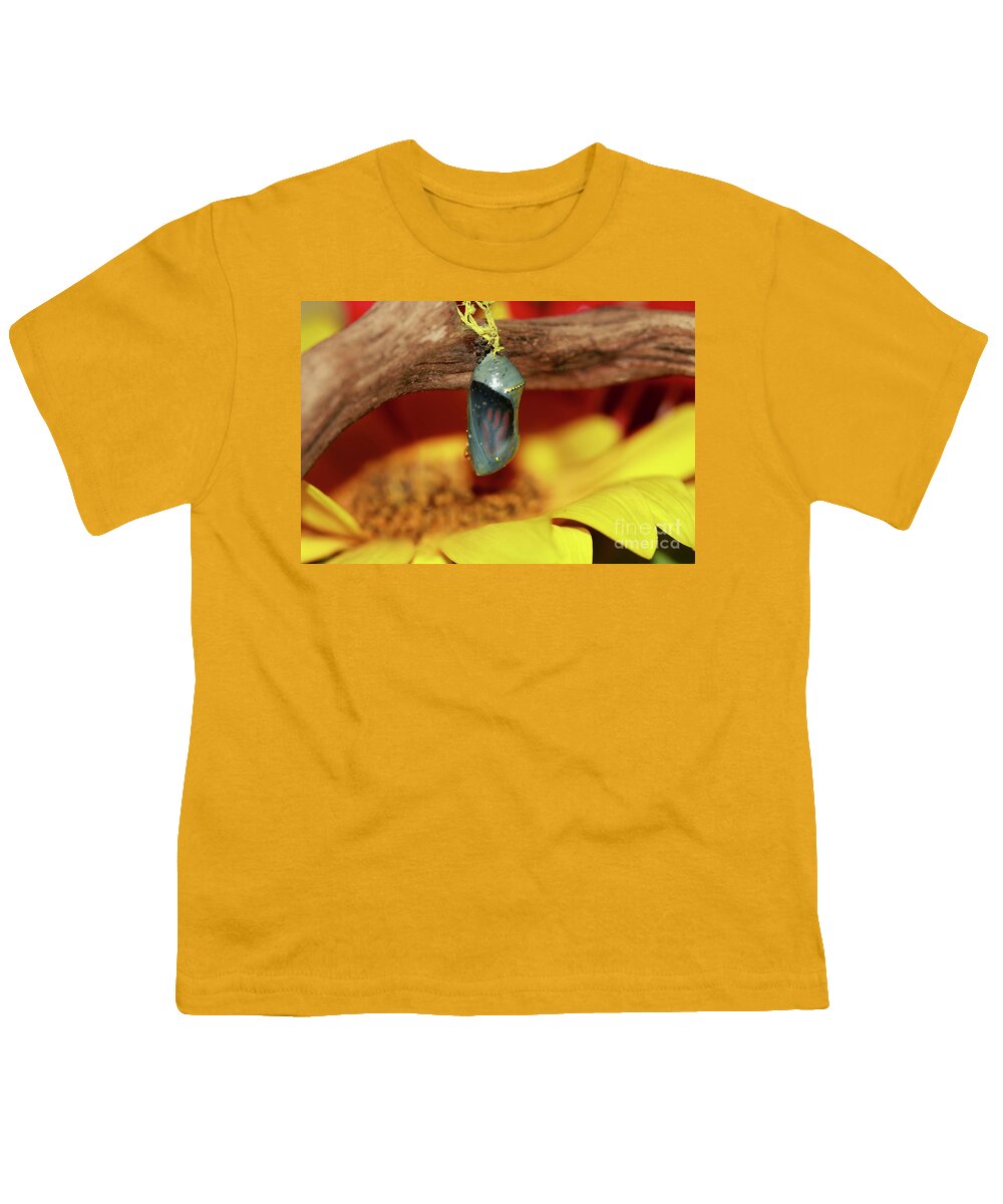 Butterfly Youth T-Shirt featuring the photograph Butterfly Chrysalis and Sunflower by Luana K Perez