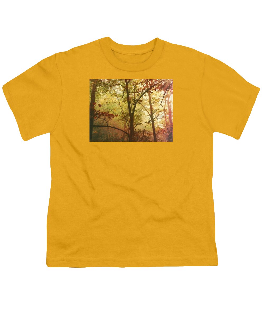 Early Morning Mist Youth T-Shirt featuring the photograph Early Morning Mist by Bellesouth Studio