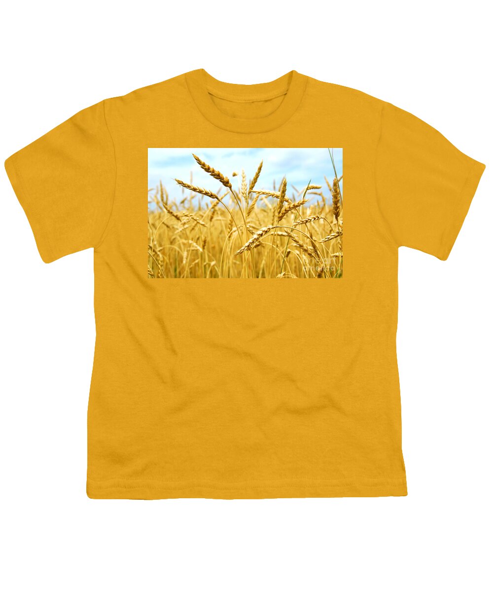 Wheat Youth T-Shirt featuring the photograph Grain field by Elena Elisseeva