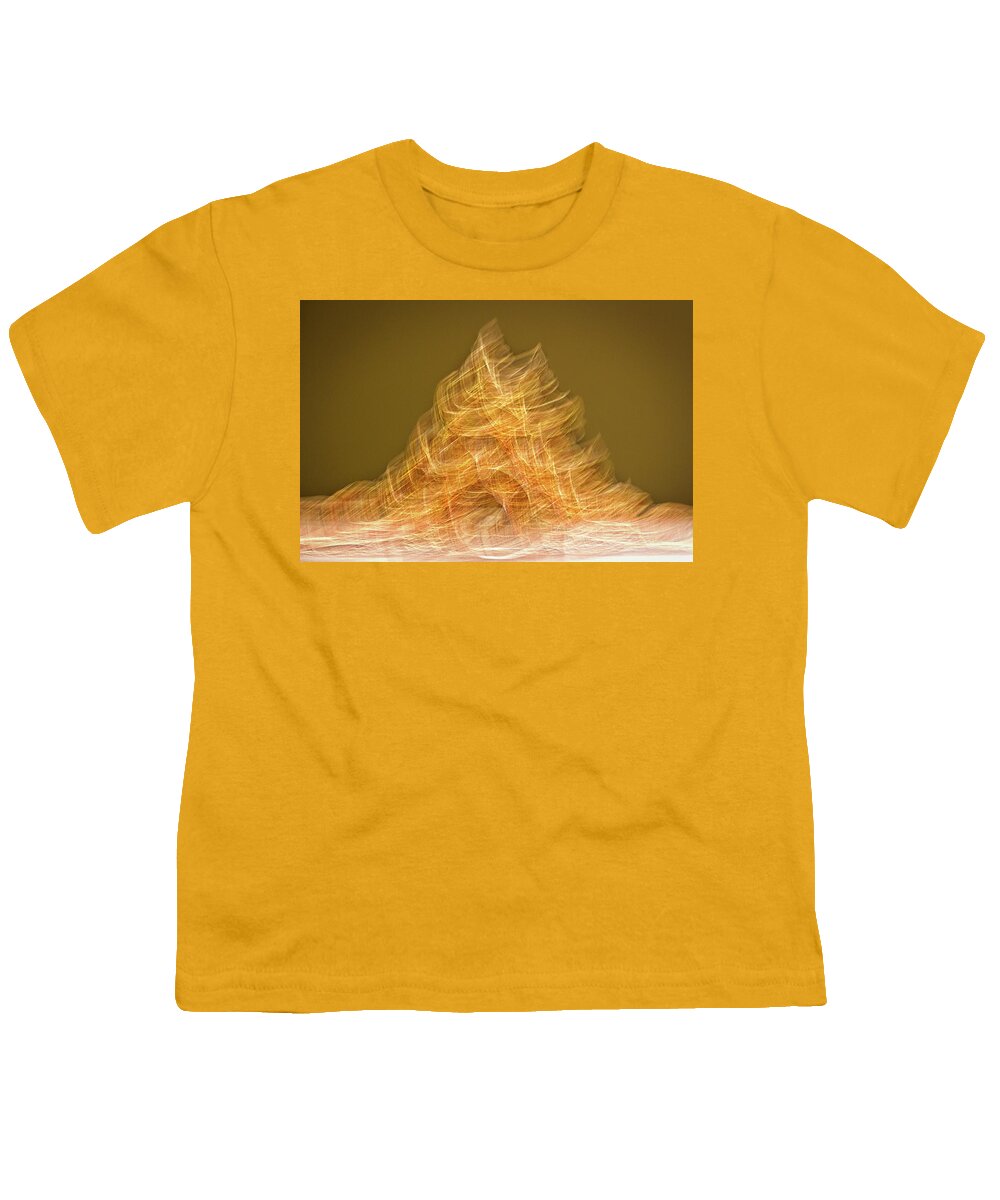 Roanoke Youth T-Shirt featuring the photograph Museum Exhibit Abstract by Stuart Litoff
