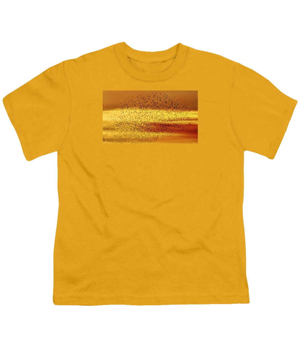 Sunset Youth T-Shirt featuring the photograph Starlings at Sunset by Jeff Townsend