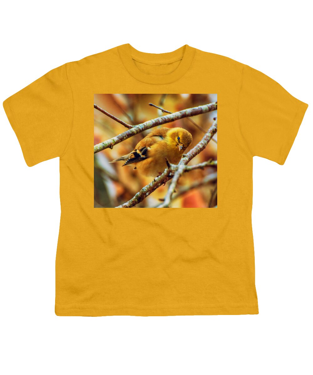 The Inquisitive Goldfinch Prints Youth T-Shirt featuring the photograph The Inquisitive Goldfinch by John Harding