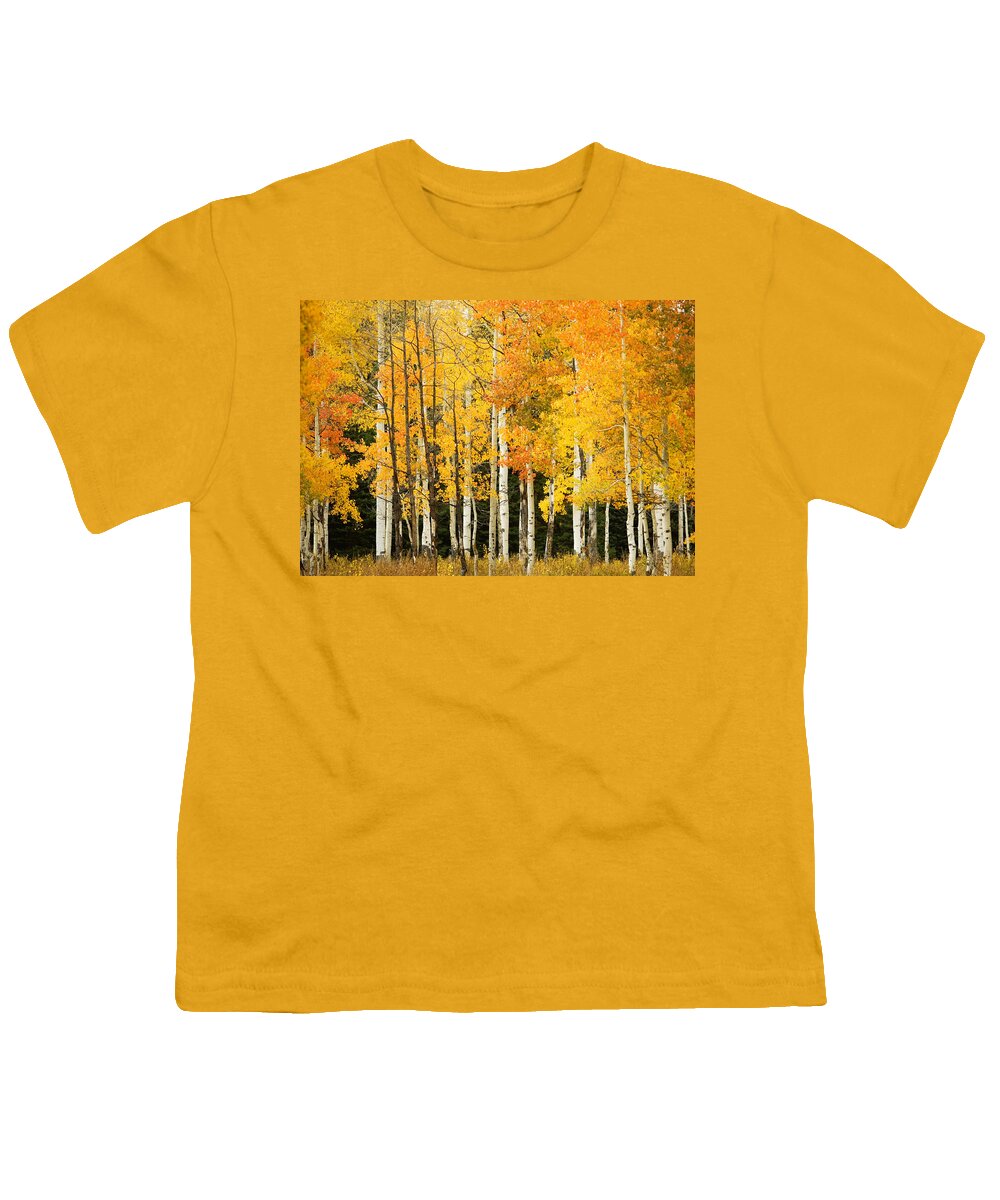 Aspen Youth T-Shirt featuring the photograph White Aspen Trunks by Ron Dahlquist - Printscapes
