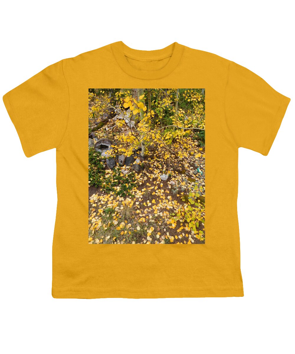 Aspens Youth T-Shirt featuring the photograph Aspen Carpet by Karen Stansberry