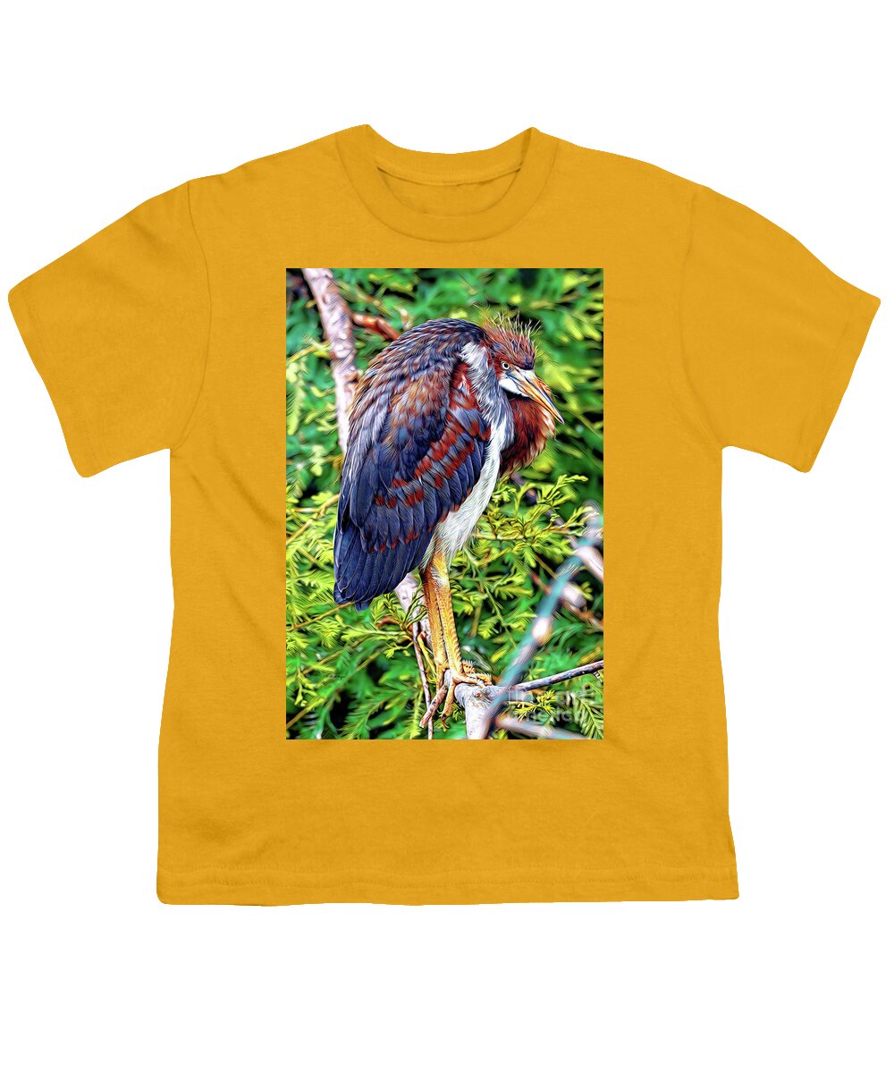 Herons Youth T-Shirt featuring the mixed media Juvenile Tricolored Heron Art by DB Hayes