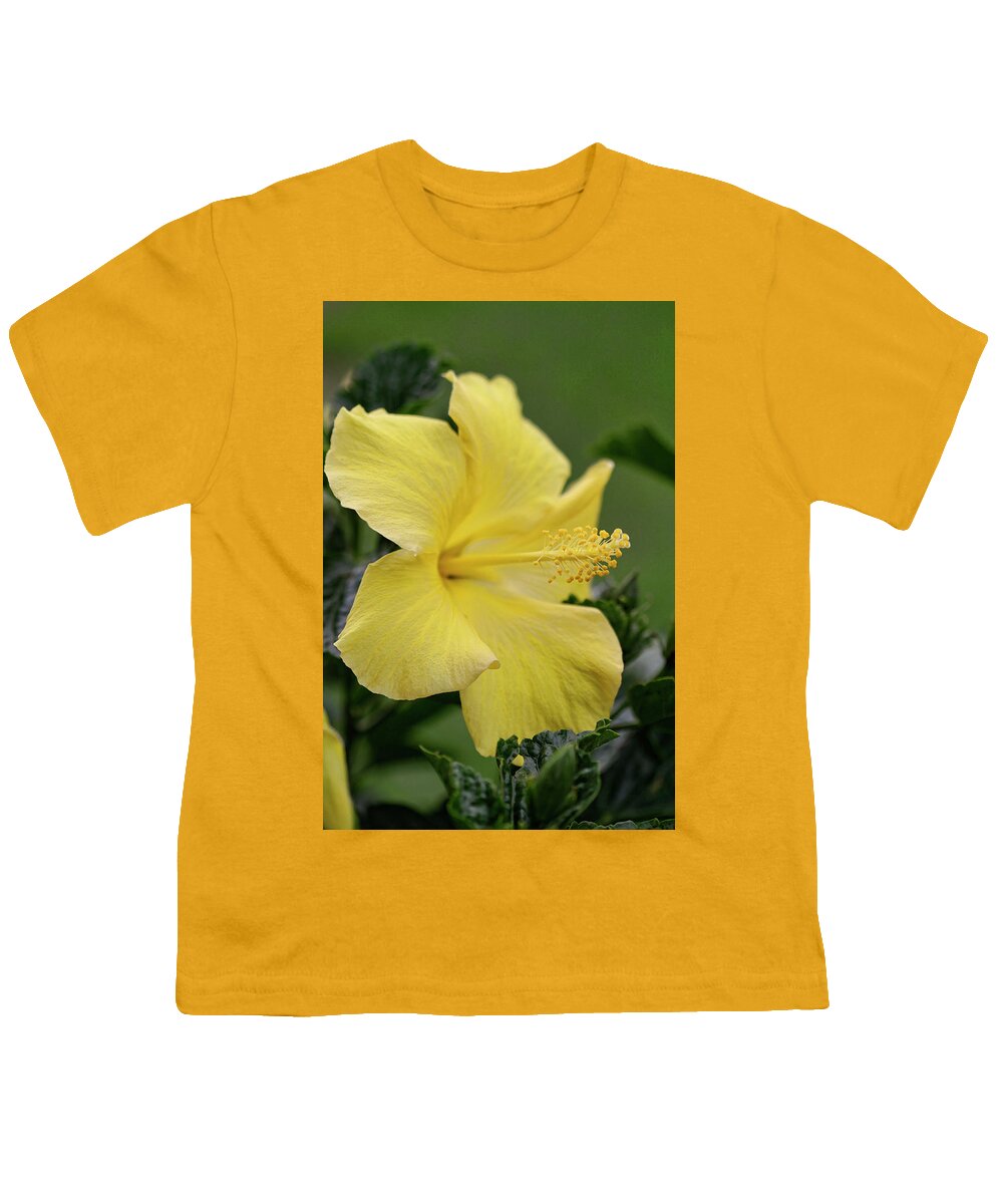 Hibiscus Youth T-Shirt featuring the photograph Lovely Tropical Yellow Hibiscus Blossom by Kathy Clark