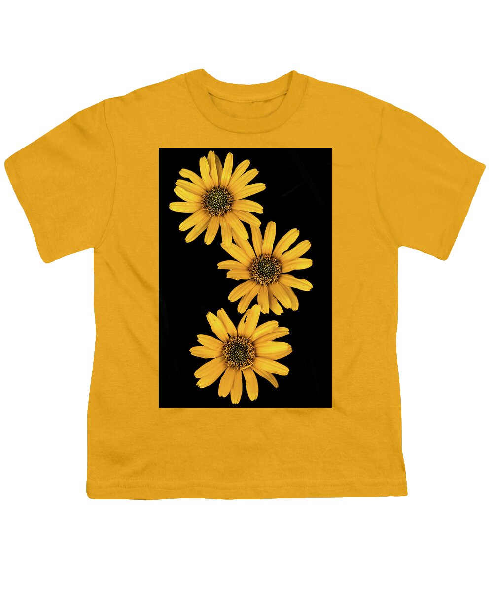 Yellow Youth T-Shirt featuring the photograph Three Sunflowers by Jeff Phillippi