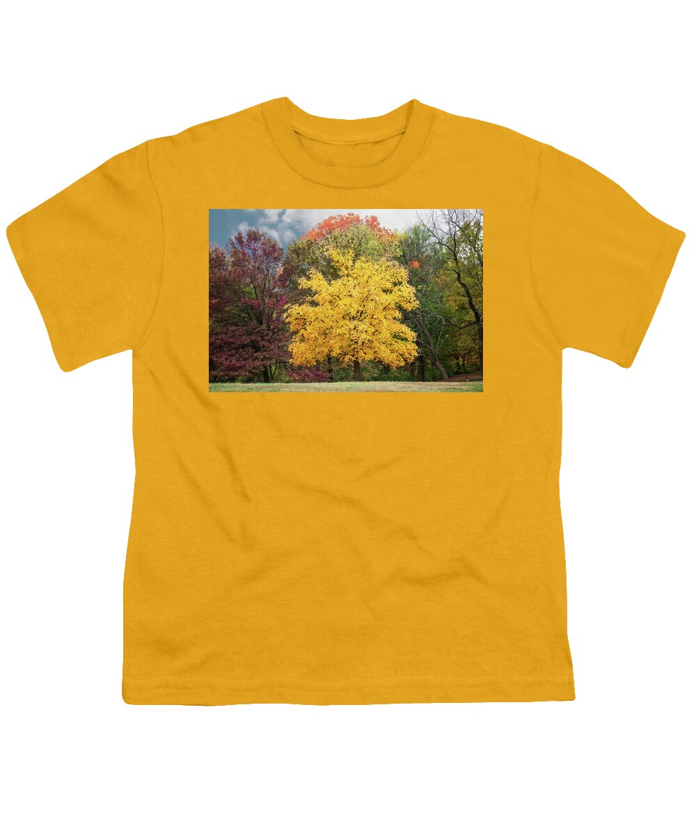 Yellow Leaves Youth T-Shirt featuring the photograph Yellow Autumn by Ed Taylor