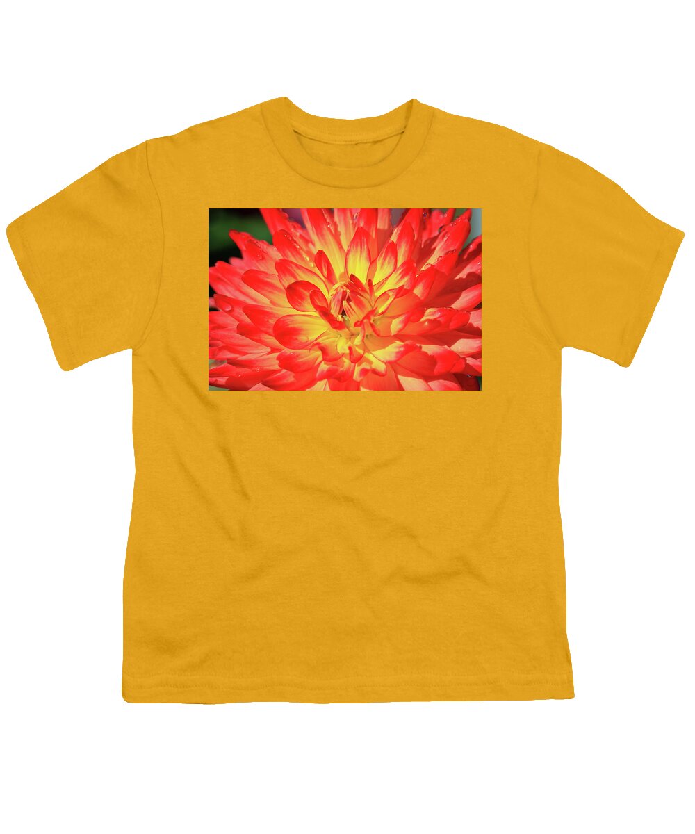 Dahlia Youth T-Shirt featuring the photograph Dahlia #3 by Shixing Wen