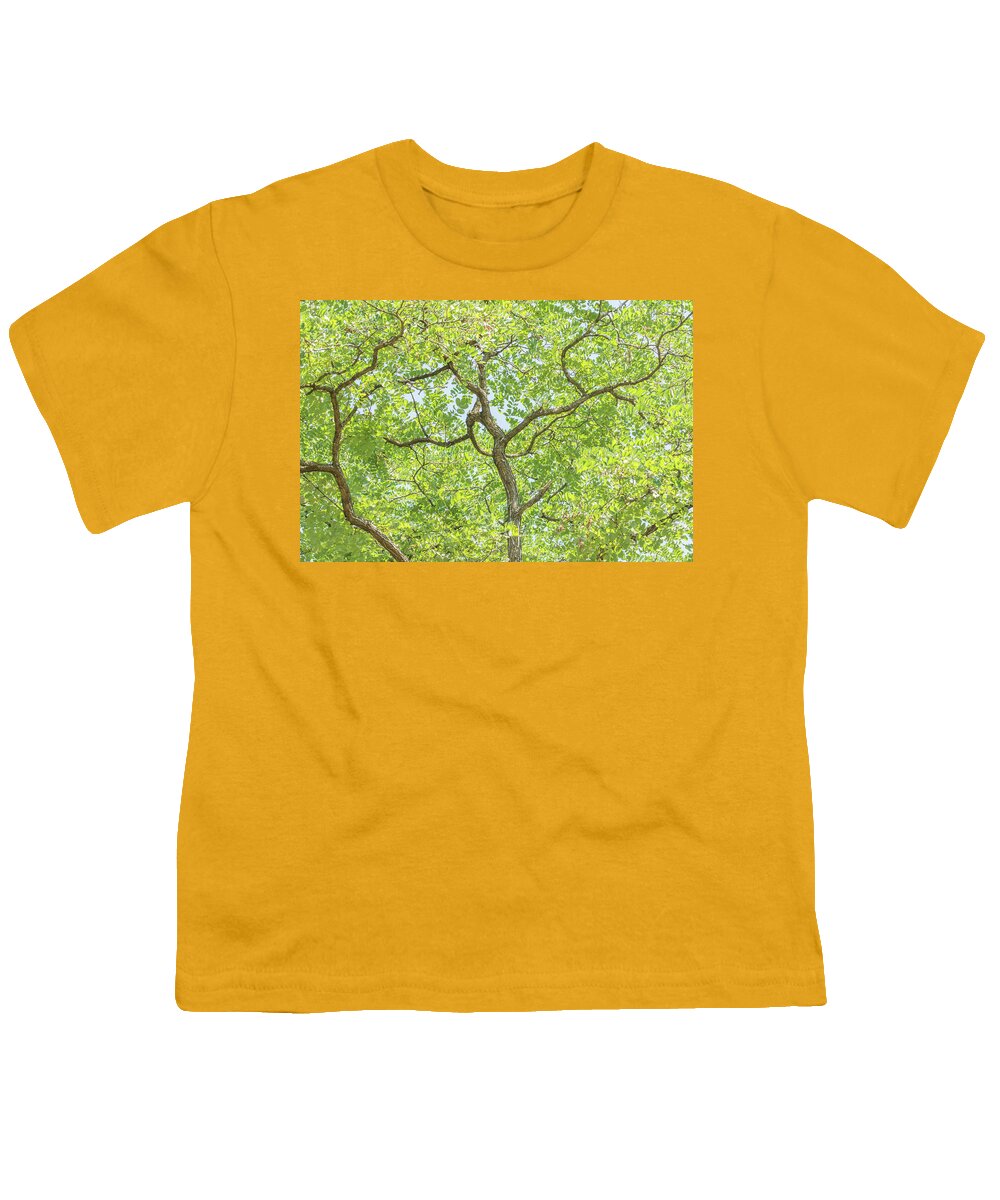 Arnos Park Youth T-Shirt featuring the photograph Arnos Park Trees Summer 1 by Edmund Peston