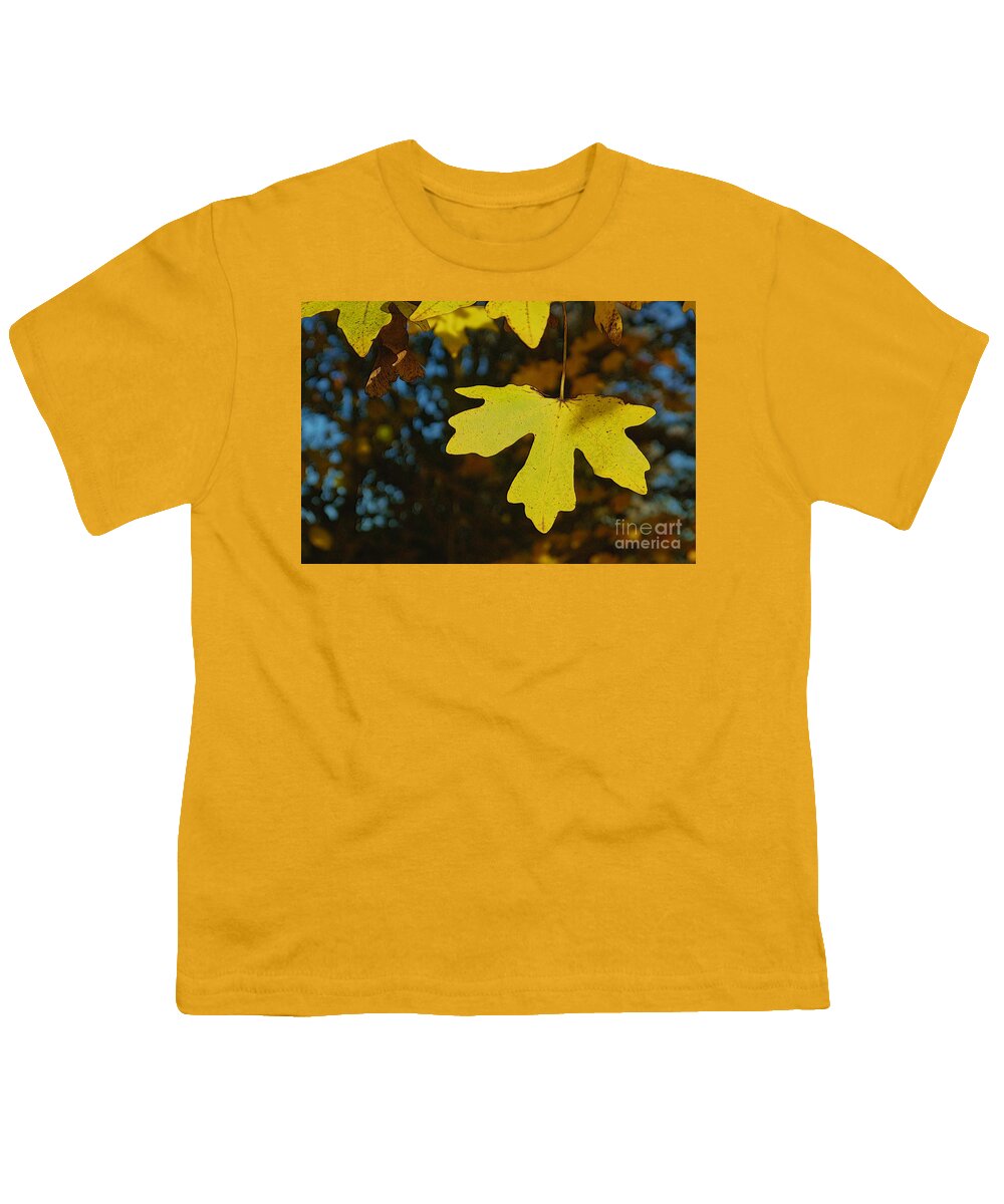 Art Youth T-Shirt featuring the photograph Autumn Leaves 22 by Jean Bernard Roussilhe