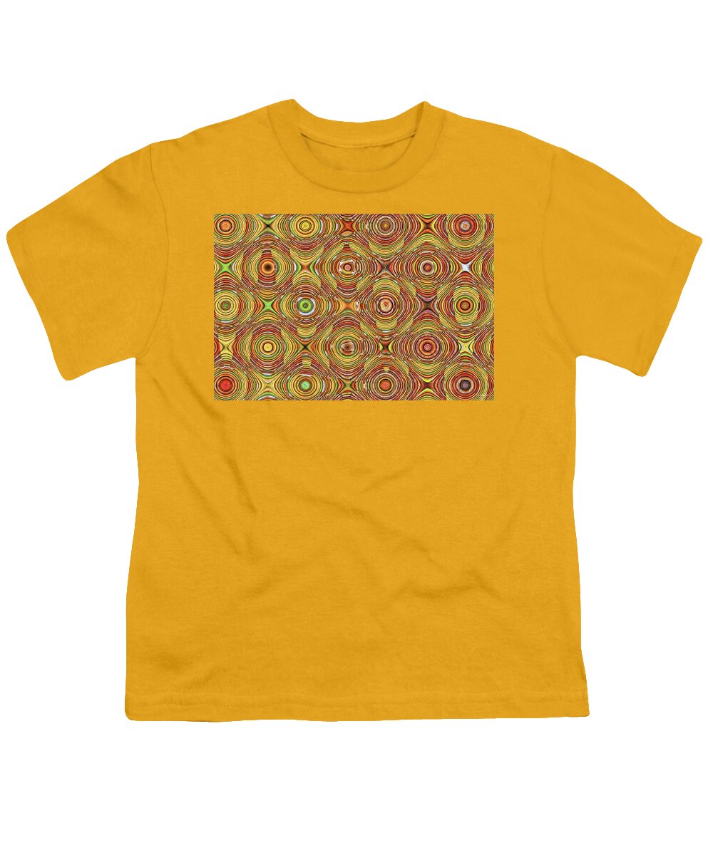Dry Sticks Abstract 4557 Youth T-Shirt featuring the digital art Dry Sticks Abstract 4557 by Tom Janca