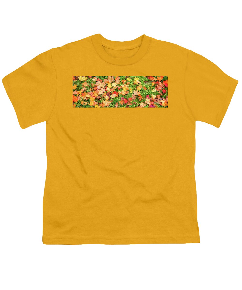 Autumn Youth T-Shirt featuring the photograph Fallen leaves panorama by Delphimages Photo Creations