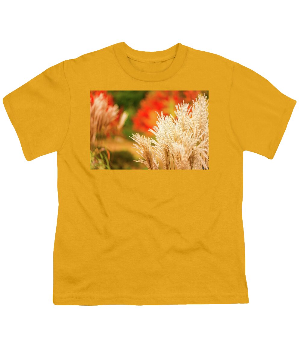 New Hampshire Youth T-Shirt featuring the photograph Golden Autumn Grass by Jeff Sinon