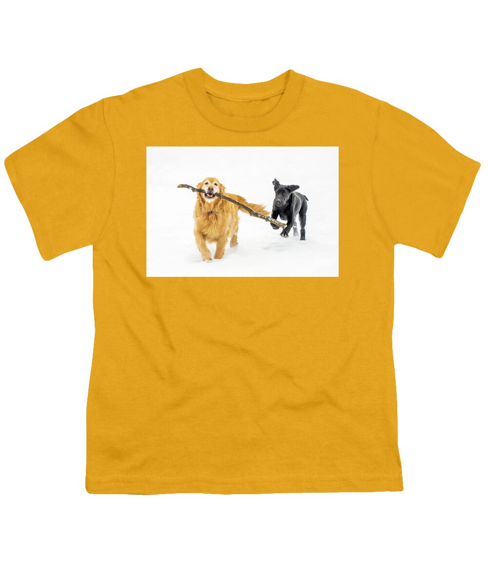 Black Labrador Retriever Youth T-Shirt featuring the photograph Happy Dogs in Winter by Dee Potter