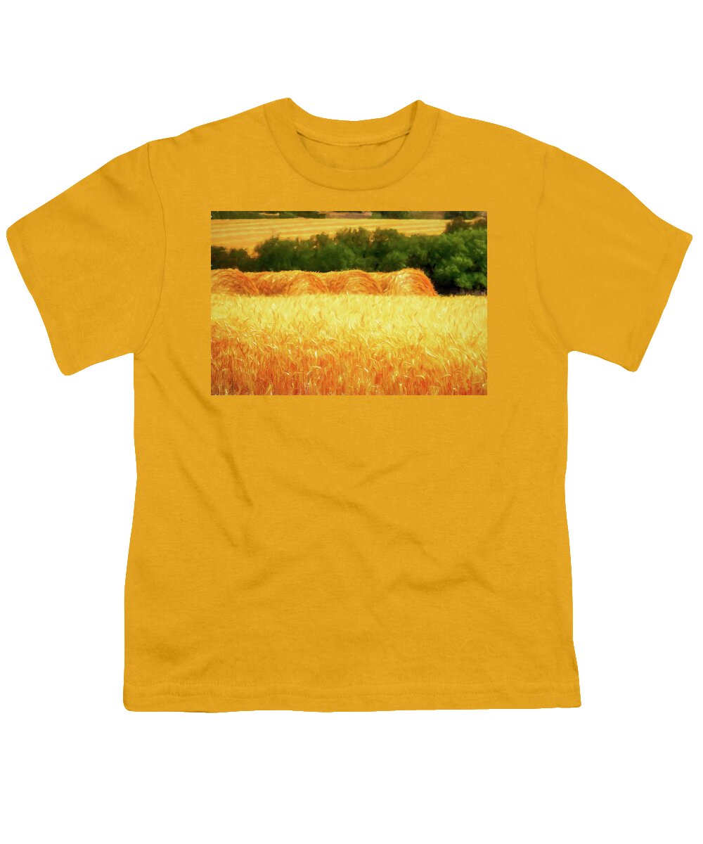Wheat Field Youth T-Shirt featuring the digital art Harvest time in Idaho by Tatiana Travelways