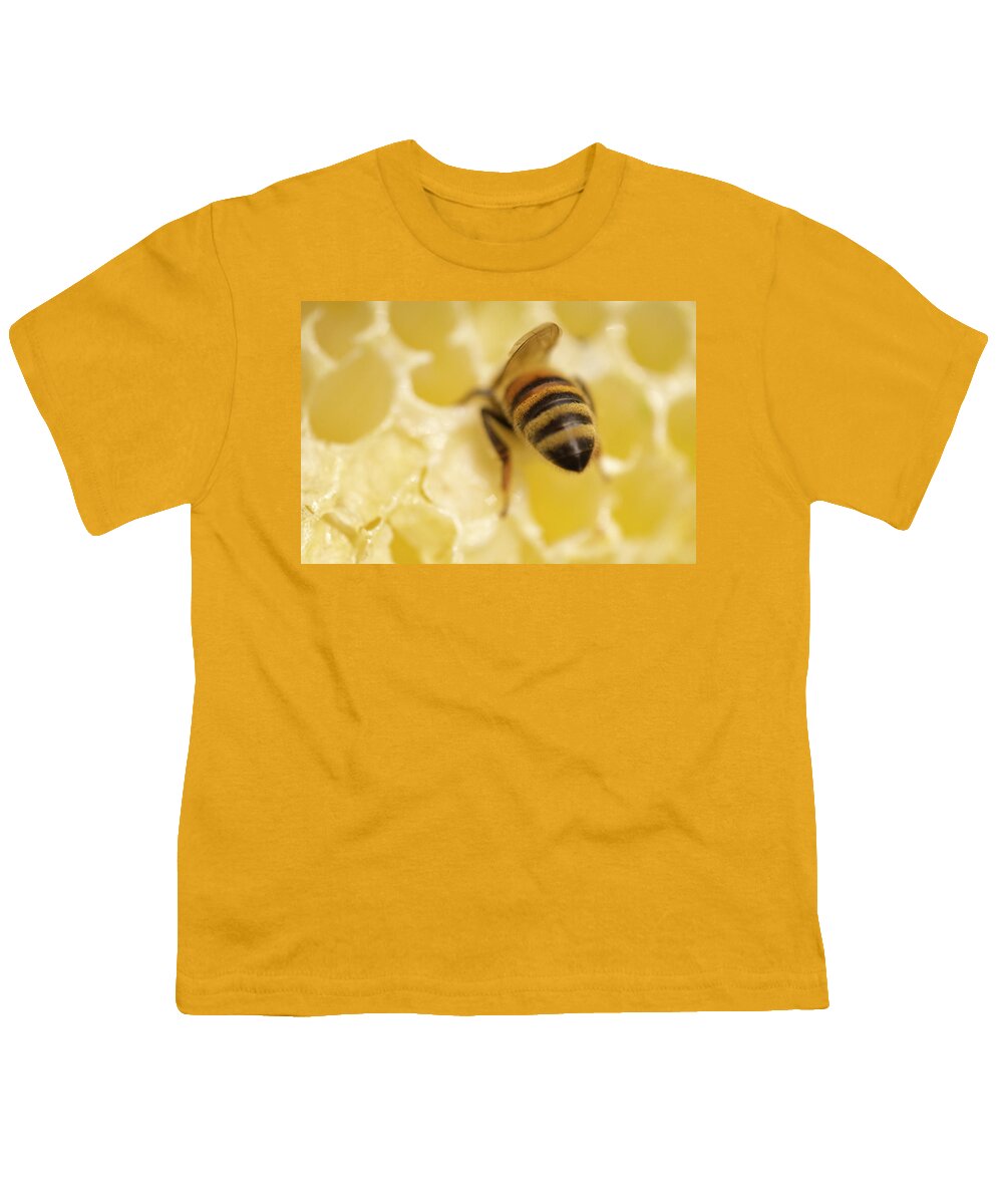 Bee Youth T-Shirt featuring the photograph Honeybee Butt by Iris Richardson