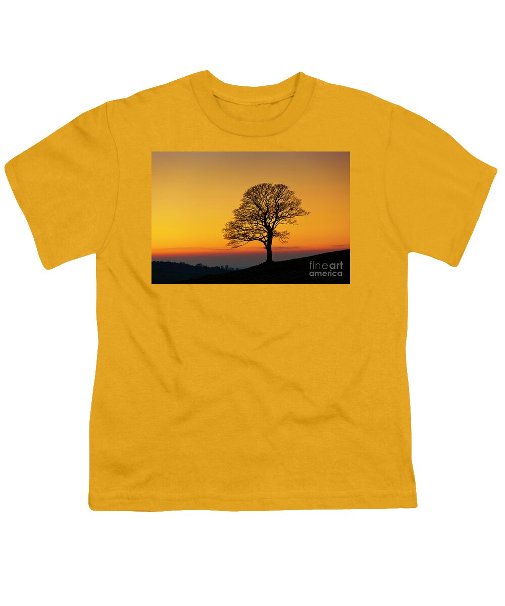 One Youth T-Shirt featuring the photograph Lone winter tree at Sunset by Neale And Judith Clark