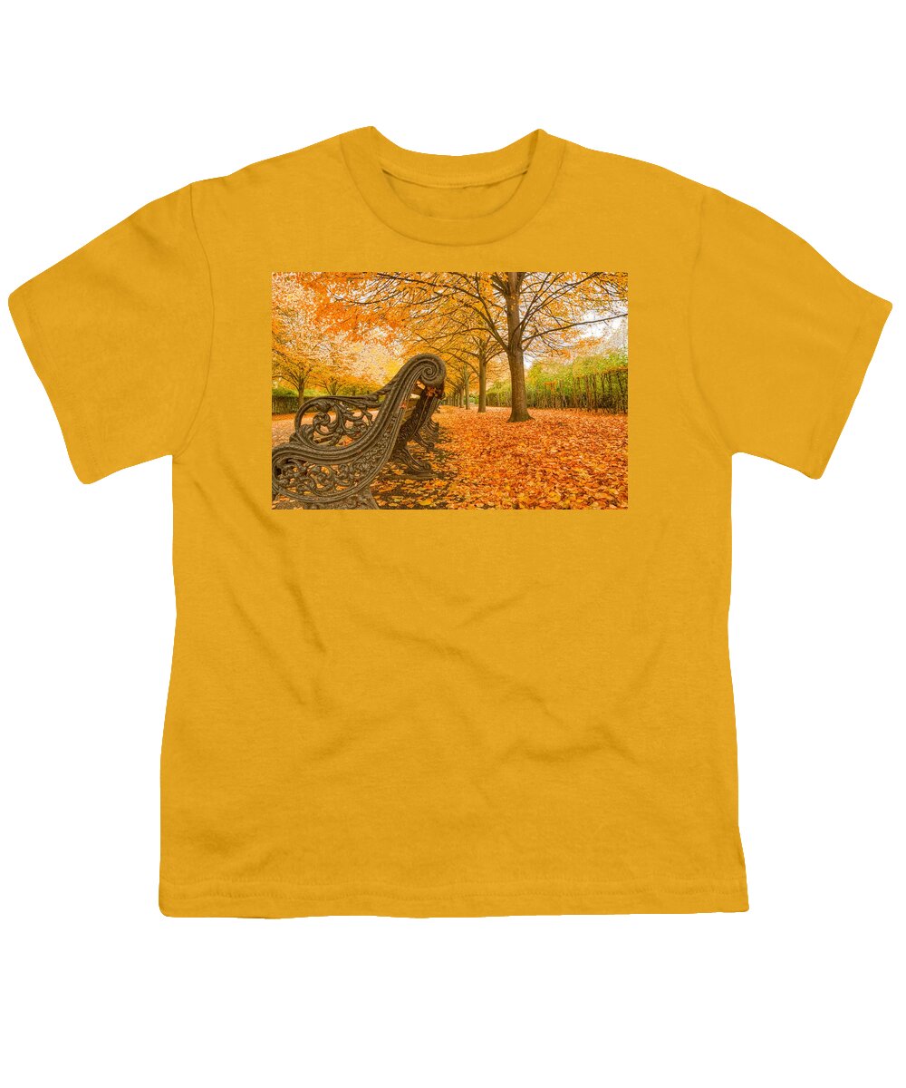 Regents Park Youth T-Shirt featuring the photograph Regents Park London in November by Raymond Hill