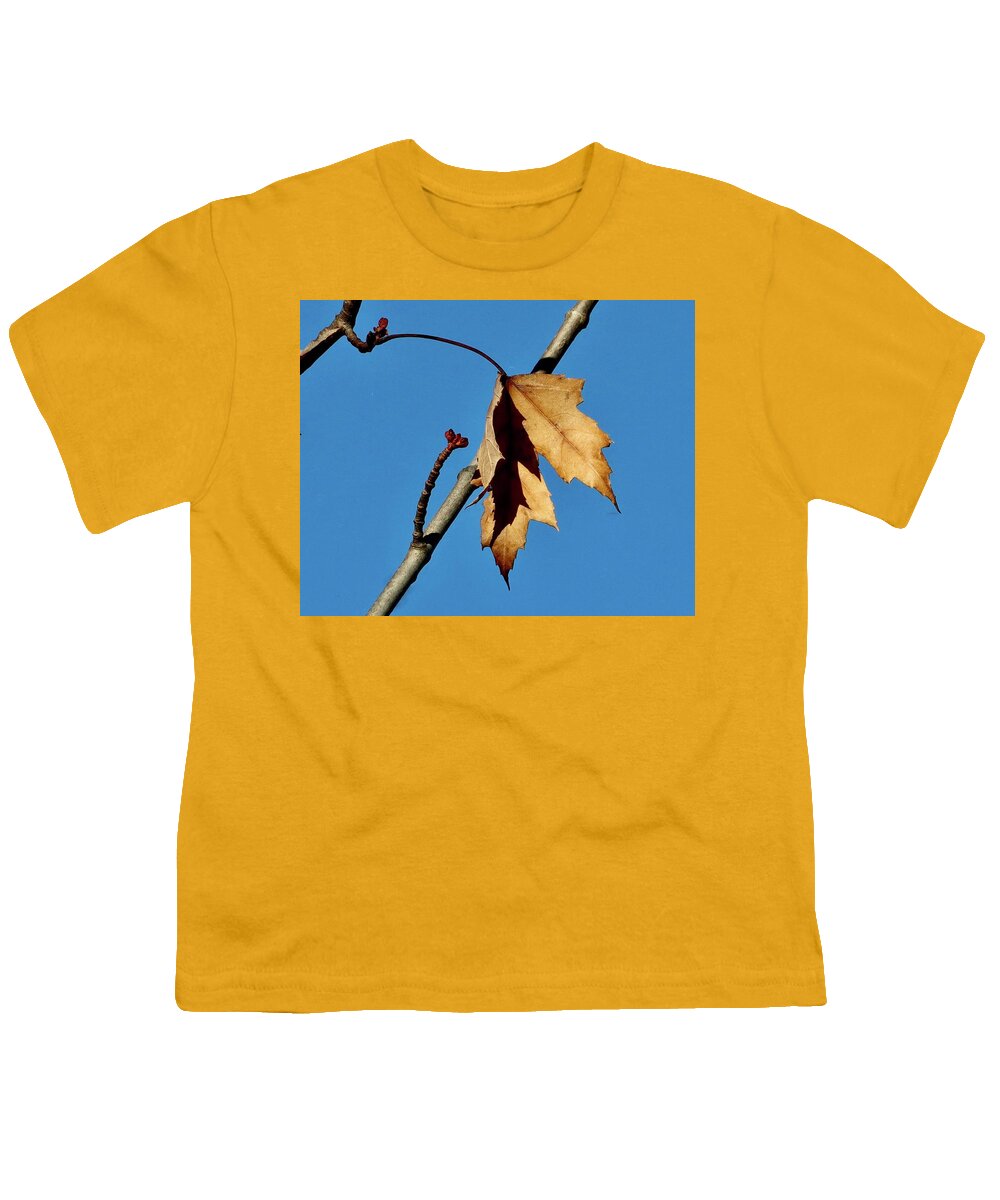 Autumn Youth T-Shirt featuring the photograph Shadows of Autumn by Sarah Lilja