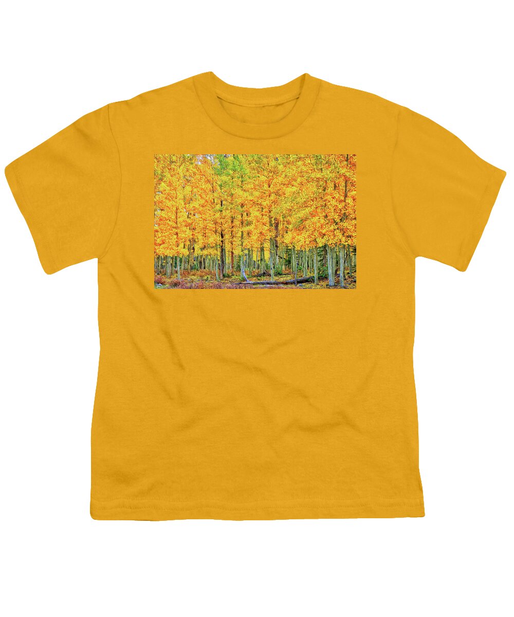 Foliage Youth T-Shirt featuring the photograph Stand of Aspens-Digital Art by Steve Templeton