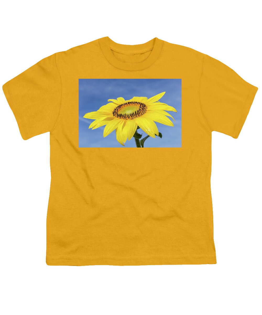 Sunflower Youth T-Shirt featuring the photograph Sunflower against blue sky by Robert Miller