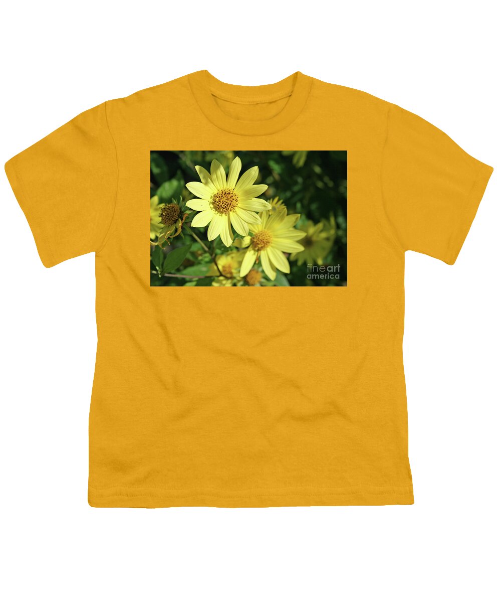 Sunshine Flowers By Norma Appleton Youth T-Shirt featuring the photograph Sunshine Flowers by Norma Appleton