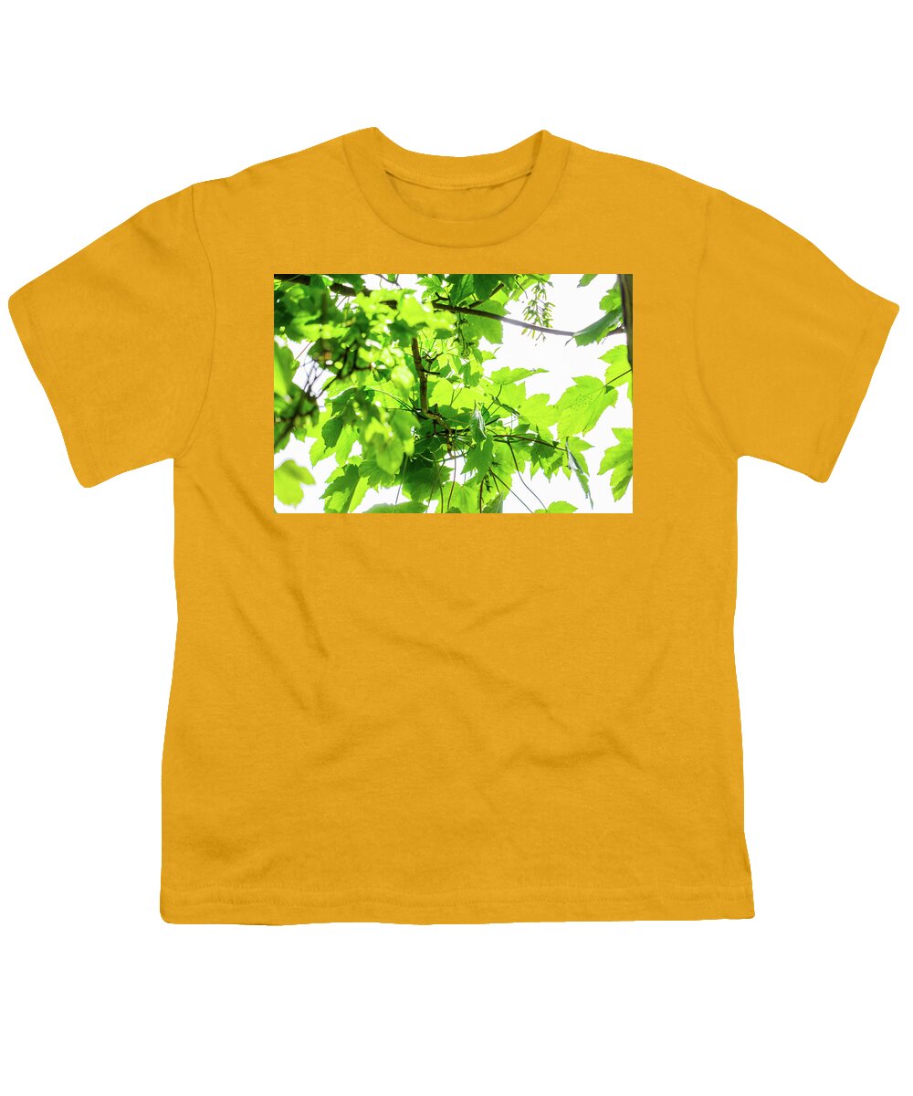 Background Youth T-Shirt featuring the photograph Sycamore Leaves In Lit By Sunlight Summer by David Ridley