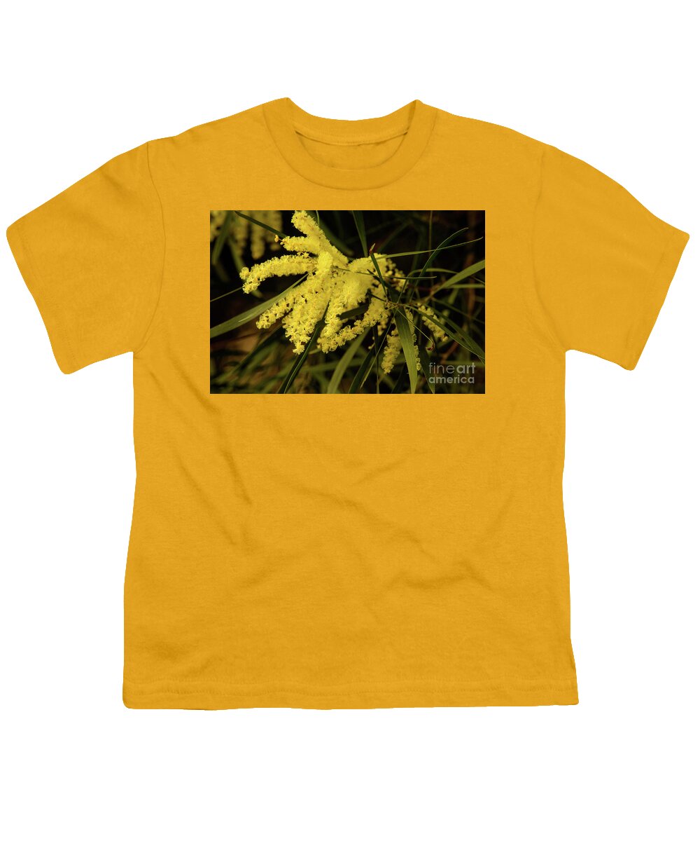 Flora;plant;flower;acacia;wattle;yellow;wildflower Youth T-Shirt featuring the photograph Wattle C02 by Werner Padarin